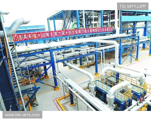 918金花游戏的历史发展与未来趋势全面展望与行业分析