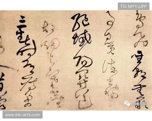 博傲有课官网提供的优质在线学习资源助你轻松提升学习效率